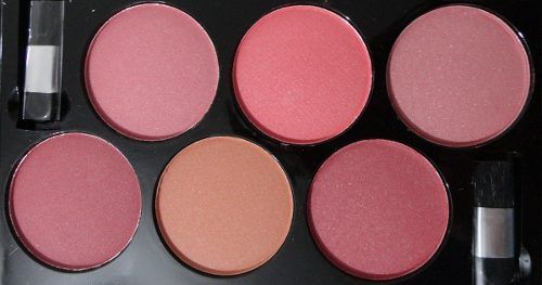 PALETA DE BLUSH